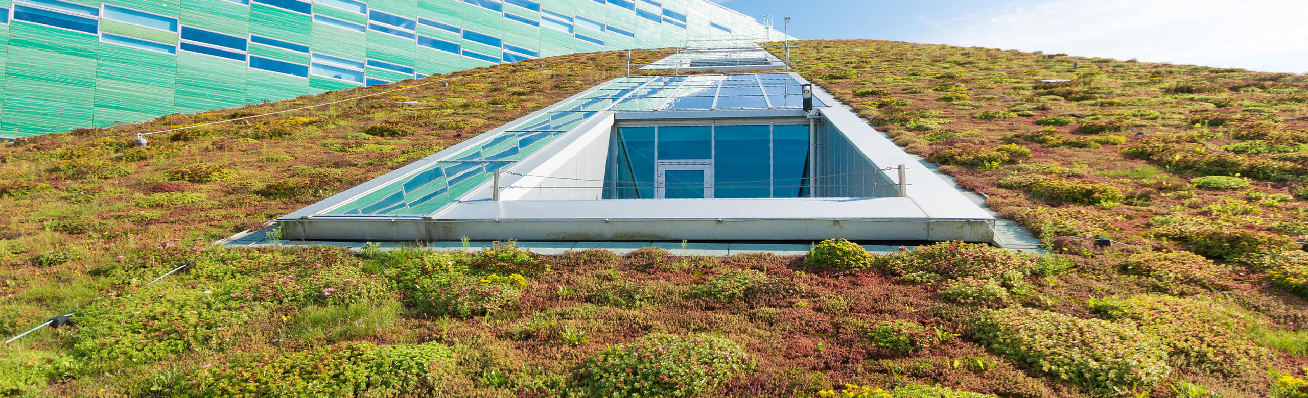 green roofs protection layer